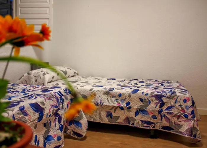 Residencia 14 살라망카